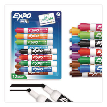Expo Dry Erase Markers - Erasable - Assorted Ink - Dry - 12 / Set