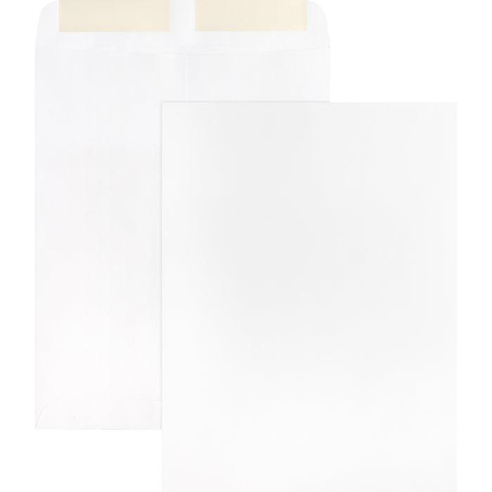 Business Source 28 lb. White Catalog Envelopes - Catalog - #10 1/2 - 9" Width x 12" Length - 28 lb - Gummed - White - Wove - 250 / Box
