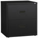 Lorell Value Lateral File - 2-Drawer - 30" Width x 18.6" Depth x 28.1" Height - 2 x Drawer(s) for File - A4, Letter, Legal - Interlocking, Ball-bearing Suspension, Adjustable Glide, Locking Drawer - Black - Steel - Recycled - 1 Each