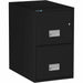 Phoenix World Class Vertical File - 2-Drawer - 16.9" Width x 25" Depth x 28" Height - 2 x Drawer(s) for File - Letter - Vertical - Impact Resistant, Fire Resistant, Explosion Resistant, Security Lock - Black - 1 Each