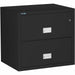 Phoenix World Class Lateral File - 2-Drawer - 31" Width x 23.6" Depth x 28.8" Height - 2 x Drawer(s) for File - Lateral - Fire Resistant, Explosion Resistant, Impact Resistant, Security Lock - Black - 1 Each