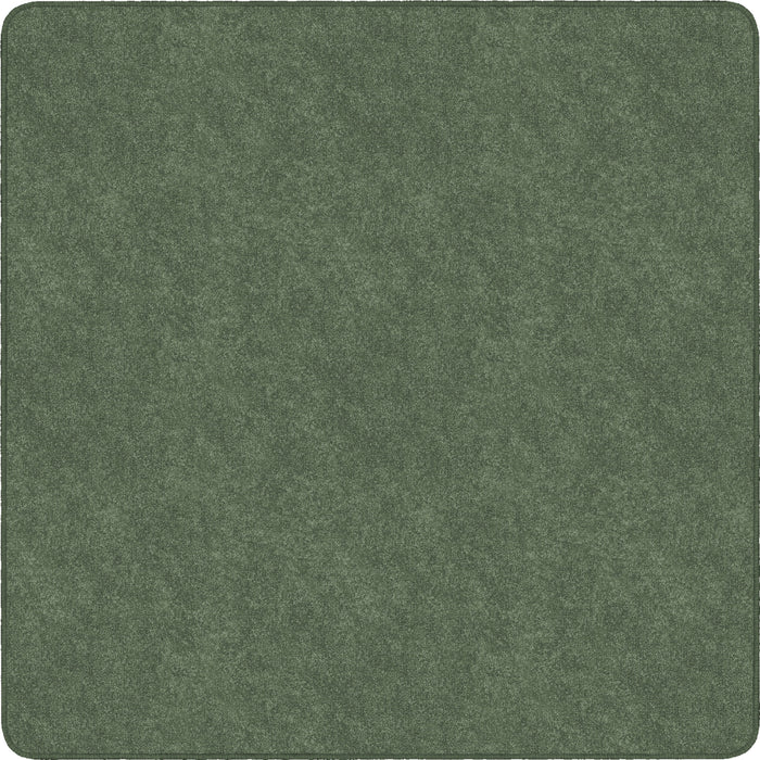 Flagship Carpets Amerisoft Solid Color Rug - 72" Length x 72" Width - Square - Sage Green - Polyester, Nylon