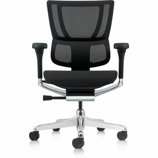 Eurotech Ergohuman Xtreme Executive Chair - Mesh Back Material - High Back - 5-star Base - Black - Armrest - 1 Each