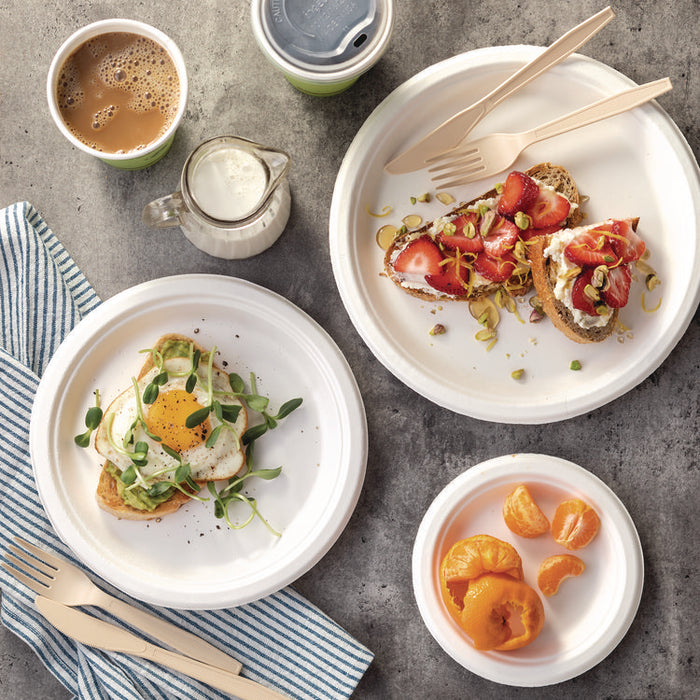 EarthChoice PFAS Free Compostable Dinnerware, Plate, Sugarcane, 10.25" dia, Natural, 500/Carton