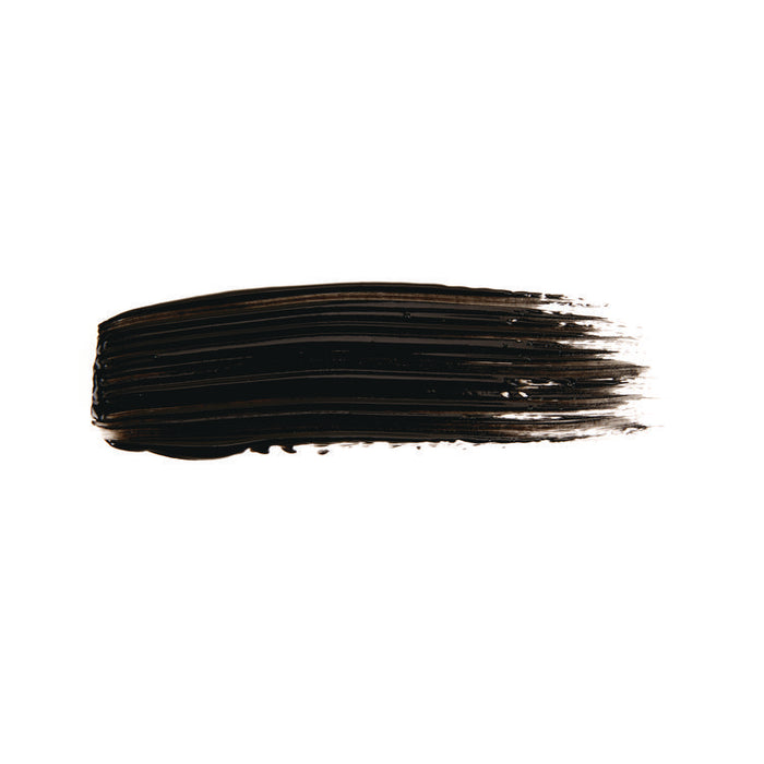 Portfolio Series Acrylic Paint, Ivory Black, 16 oz Bottle