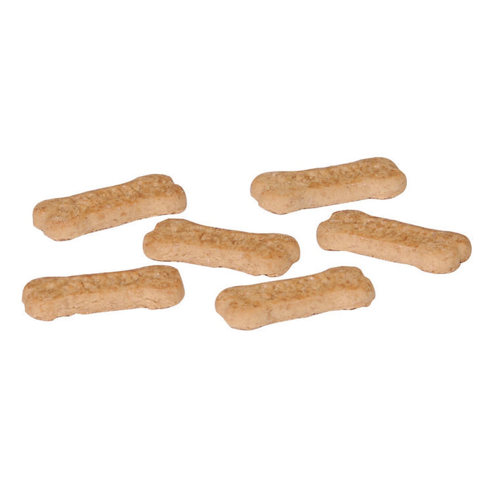 Scooby-Doo Cinnamon Graham Sticks, 1 oz Packet, 210/Carton
