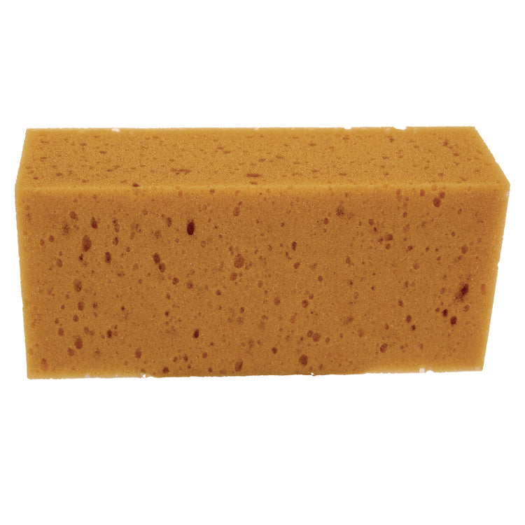 Janitorial & Facilities › Cleaning Tools › Sponges