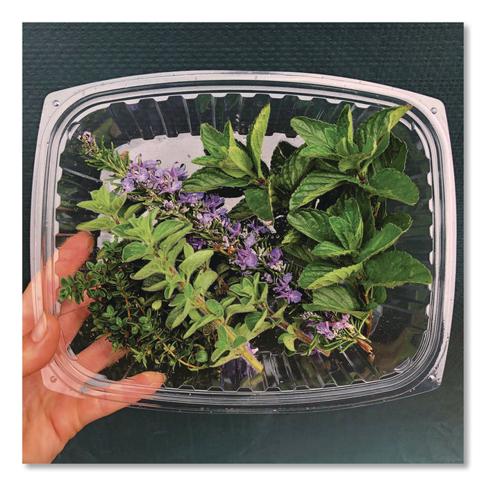 Renewable and Compostable Rectangular Deli Containers with Lid, 24 oz, 4 x 5.5 x 2, Clear, Plastic, 50/Pack, 4 Packs/Carton