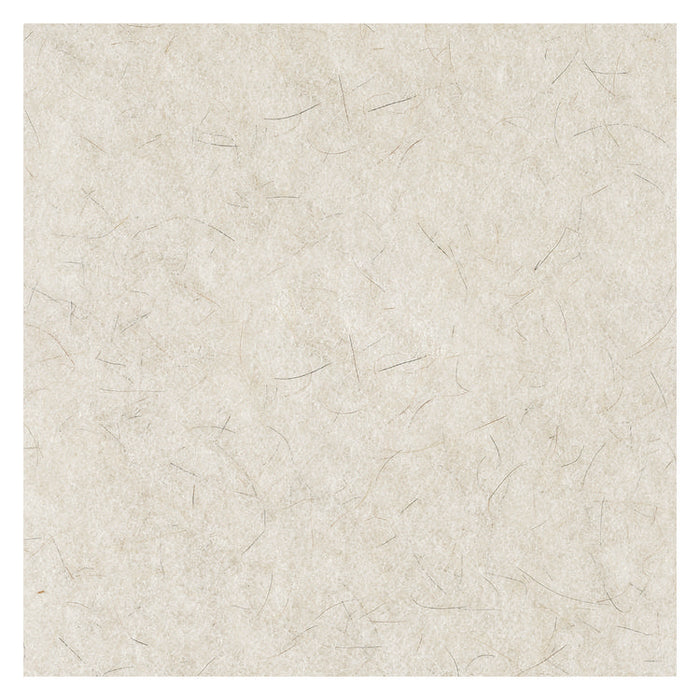 Natural Burnishing Floor Pads, 21" Diameter, White, 5/Carton