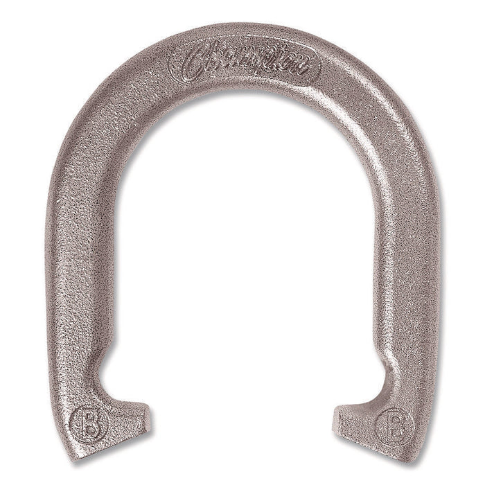 Steel Horseshoe Set, (4) Horseshoes/(2) 20" Stakes/Nylon Carry Bag
