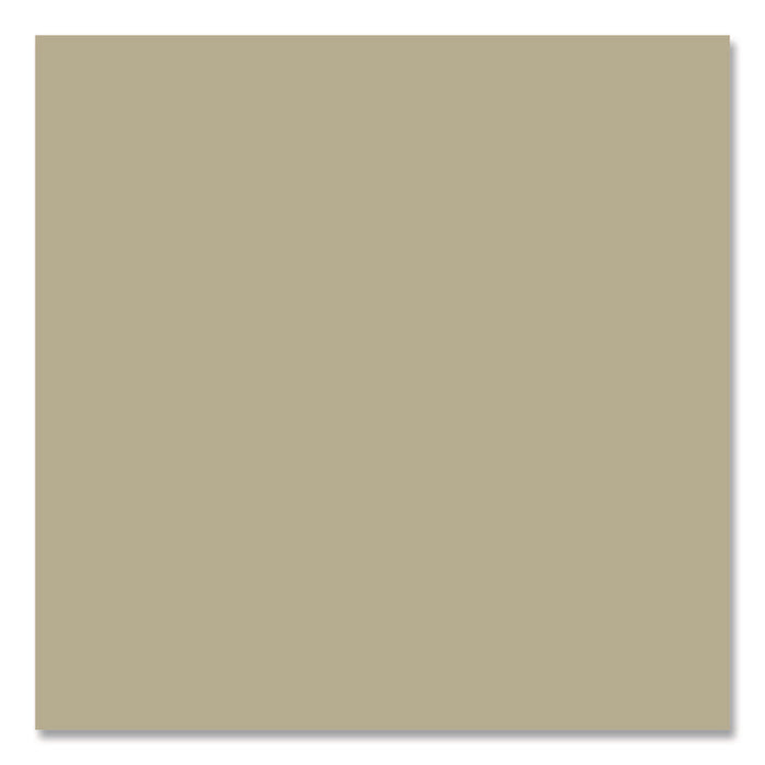 Camouflage Spray Paint, Flat Sand, 12 oz Aerosol Can