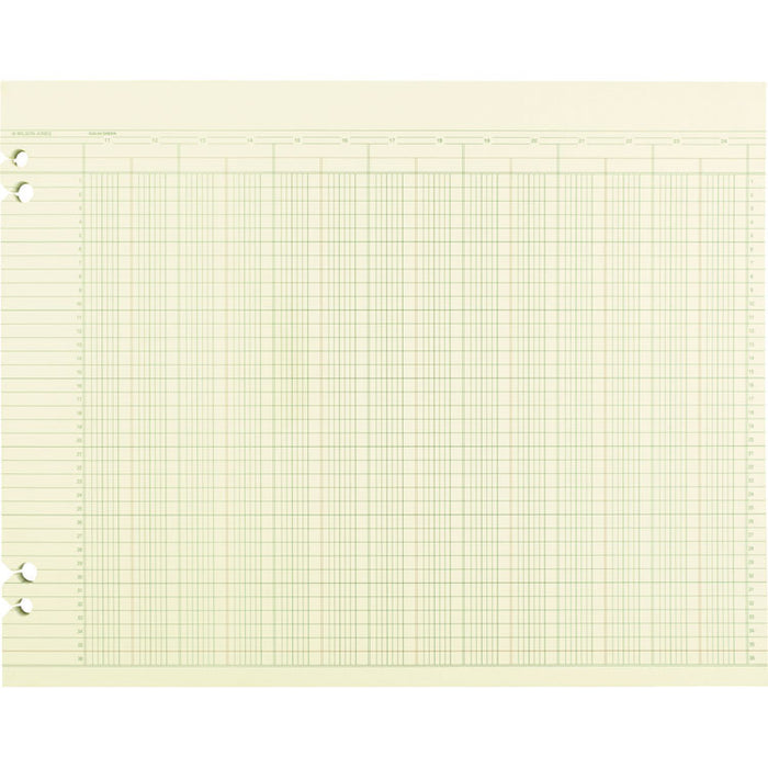 Accounting Sheets, 24 Columns, 11 x 14, Green, Loose Sheet, 100/Pack