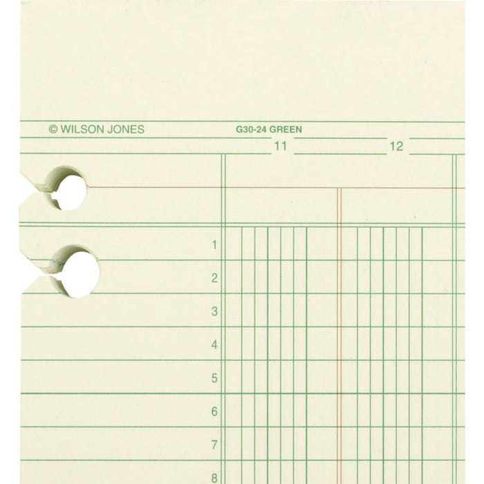 Accounting Sheets, 24 Columns, 11 x 14, Green, Loose Sheet, 100/Pack