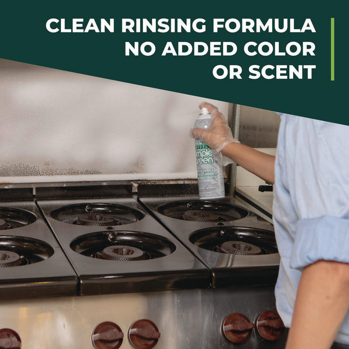 Foaming Crystal Industrial Cleaner and Degreaser, 20 oz Aerosol Spray, 12/Carton