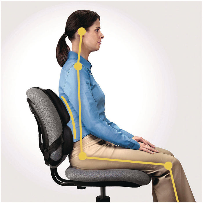 Professional Series Back Support with Microban Protection, 15 x 2 x 14.5, Black