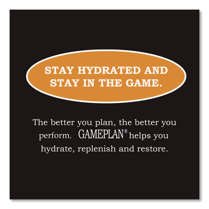 Gameplan Sports Drink, Orange, 20 oz Bottle, 24/Carton