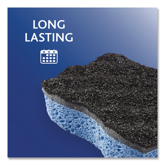 Scrunge Heavy-Duty Sponge, 2.63 x 4.25, 1" Thick, Black/Blue, 2/Pack