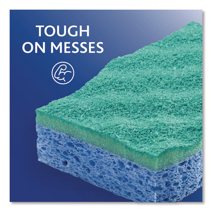 Scrunge Non-Scratch Scrub Sponge, 2.63 x 4.25, 1" Thick, Green/Blue, 2/Pack, 8 Packs/Carton