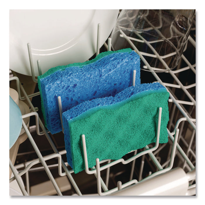 Scrunge Non-Scratch Scrub Sponge, 2.63 x 4.25, 1" Thick, Green/Blue, 2/Pack, 8 Packs/Carton