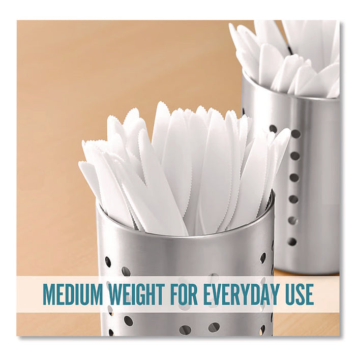 Mediumweight Plastic Cutlery, Knife, White, 300/Pack