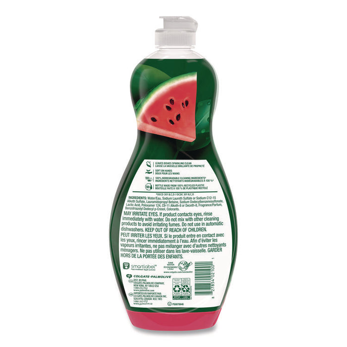 Dishwashing Liquid, Watermelon Scent, 20 oz Bottle, 9/Carton