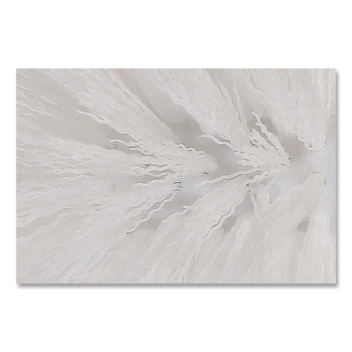 Spiral Bowl Brush, 13" Handle, White