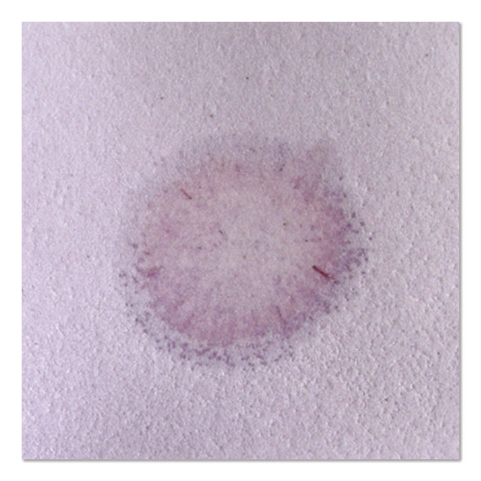 Acid Neutralizing Pads, 3 L, 4 x 10, 10/Pack