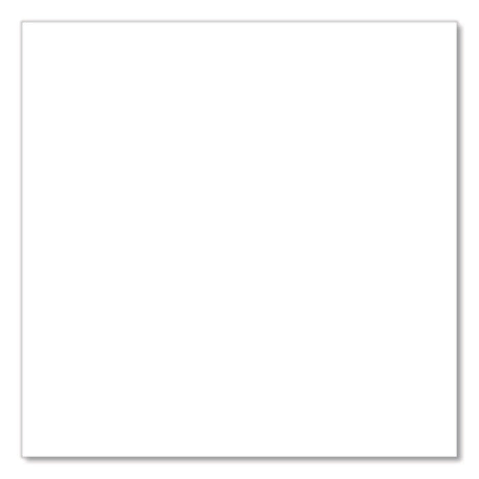 Universal Premium Spray Paint, Satin White, 12 oz Aerosol Can, 6/Carton