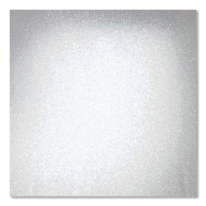 Universal Premium Spray Paint, Metallic Silver, 12 oz Aerosol Can
