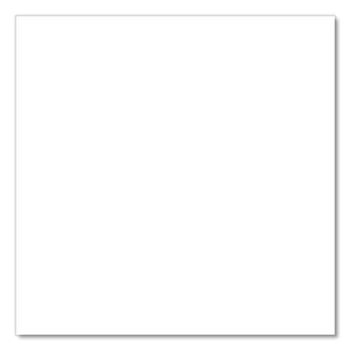 Universal Premium Spray Paint, Satin White, 12 oz Aerosol Can