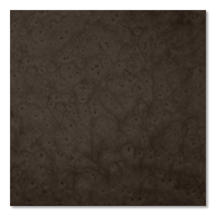 Universal Premium Spray Paint, Hammer Brown, 12 oz Aerosol Can