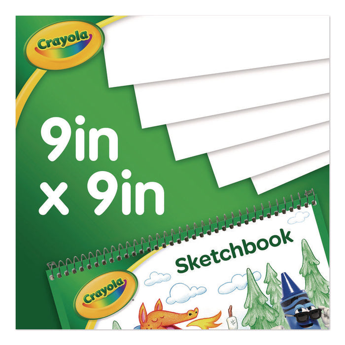 Wirebound Sketchbook, Animal Animations Gold/Green Cover, Unruled, (40) White 9 x 9 Sheets