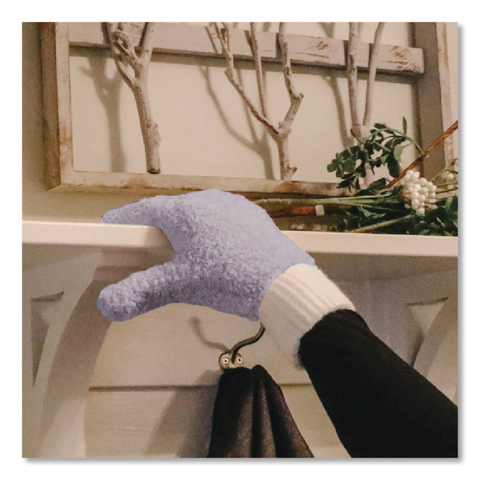 Dusting Set, Feather Duster, Dusting Wand, 2 Gloves, Gray
