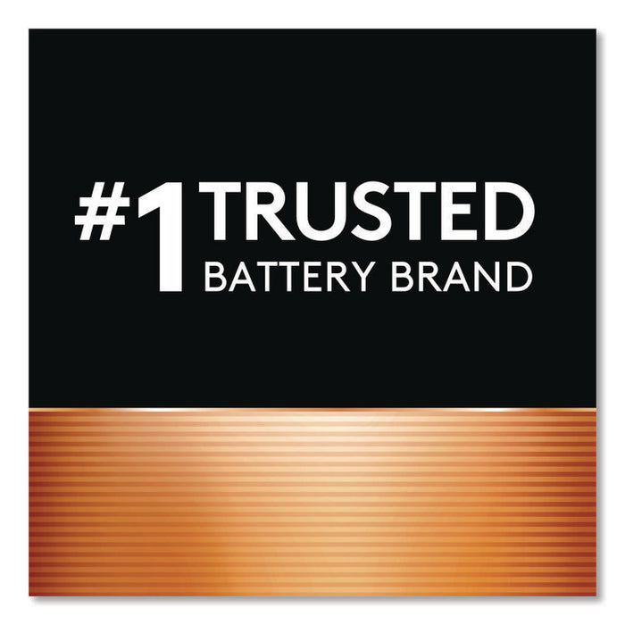 Hearing Aid Battery, #13, 8/Pack