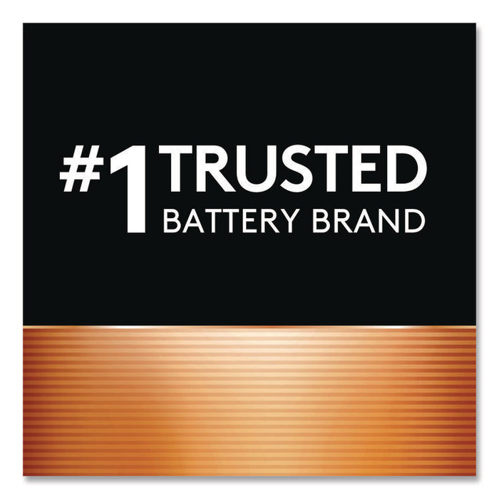 Hearing Aid Battery, #13, 16/Pack
