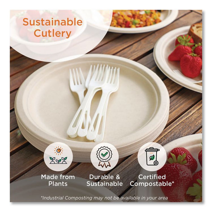TPLA Bulk Cutlery, Spoon, Plastic, Light Beige, 1,000/Carton