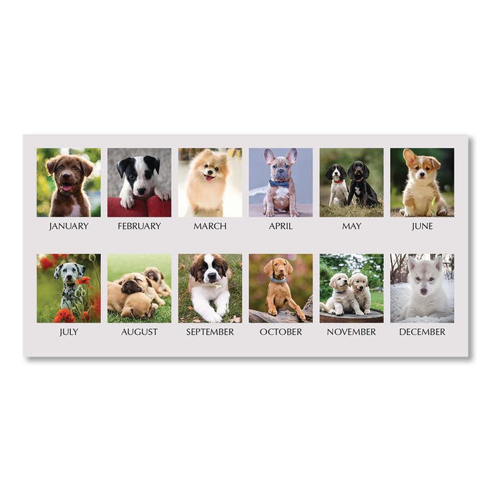 Earthscapes Recycled Desk Tent Monthly Calendar, Puppies Photography, 8.5 x 4.5, White Sheets, 12-Month (Jan to Dec): 2026
