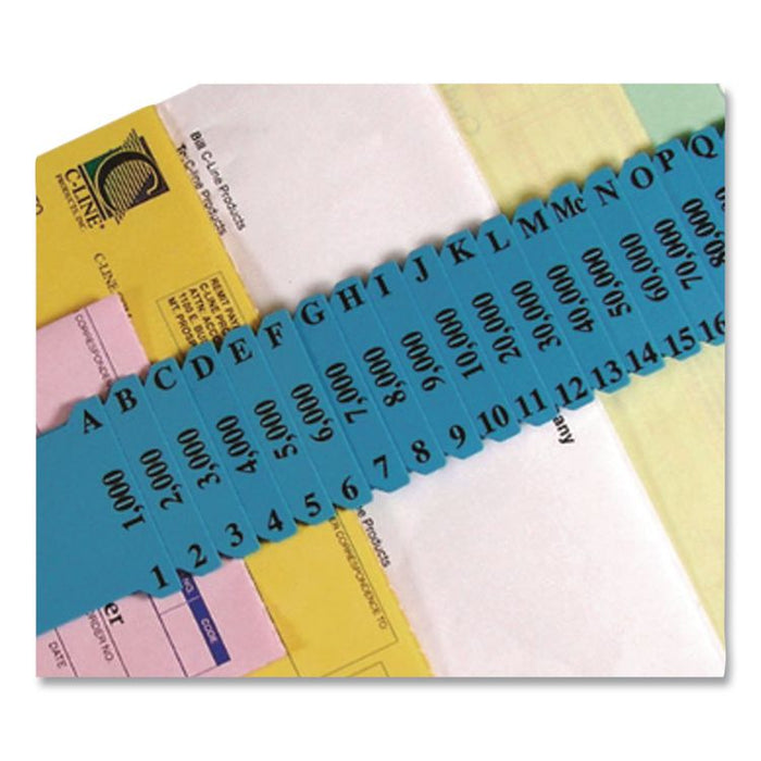 Plastic Indexed Sorter, 32 Dividers, Alpha/Numeric/Date Index, Letter Size, Blue Frame