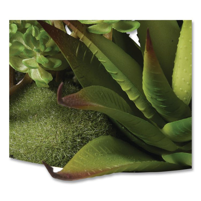 Spring Potted Plant, 8" x 8" x 8", Green Plant, White Pot