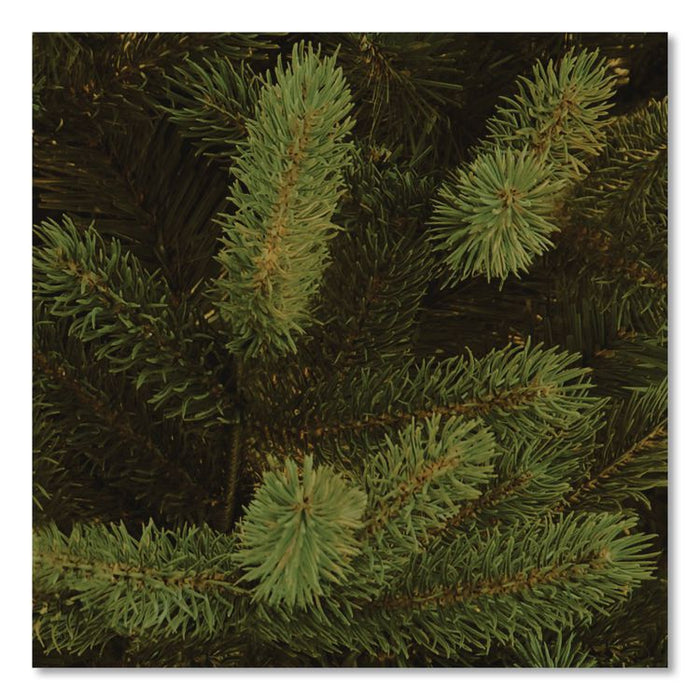 Norway Fir Tree, 58" x 58" x 84", Green Tree, Green Tree Stand
