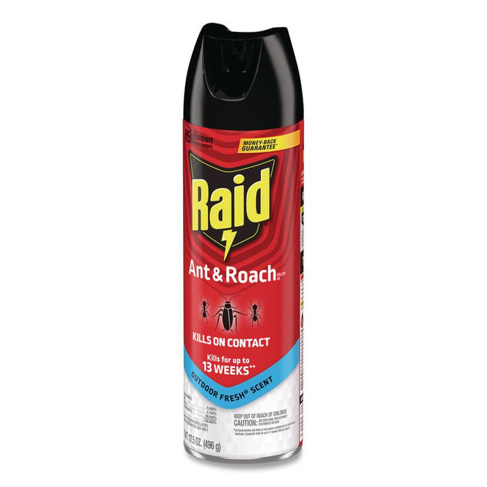 Ant and Roach Killer, 17.5 oz Aerosol Spray, Outdoor Fresh