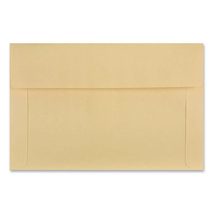 Filing Envelopes, Letter Size, Cameo Buff, 100/Box