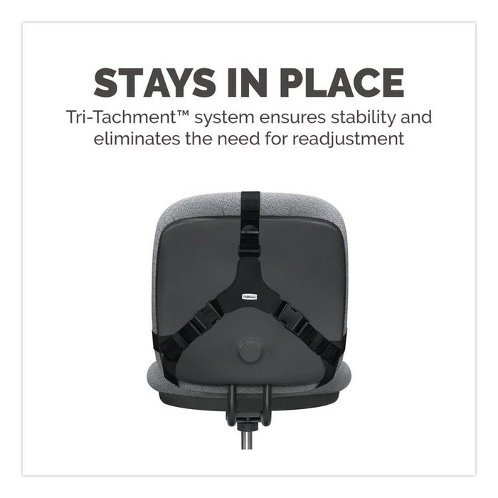 Professional Series Back Support with Microban Protection, 15 x 2 x 14.5, Black