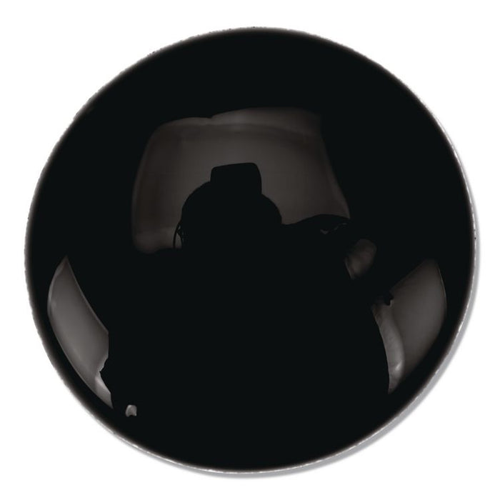 Premier Tempera Paint, Black, 32 oz Bottle