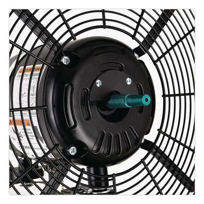2 Speed Oscillating Outdoor Rated Wall Mount Fan, 30", Black
