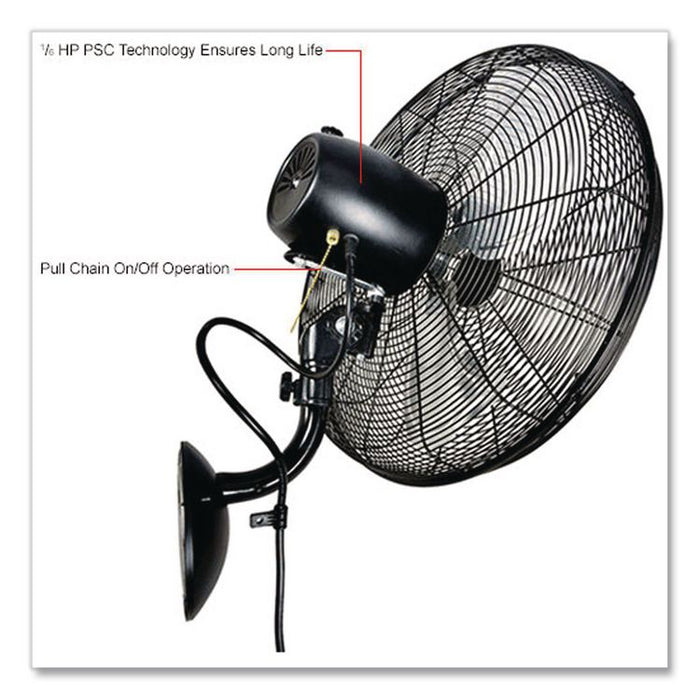 Industrial Wall Mounted Oscillating Fan, 20", 3 Speeds, Black