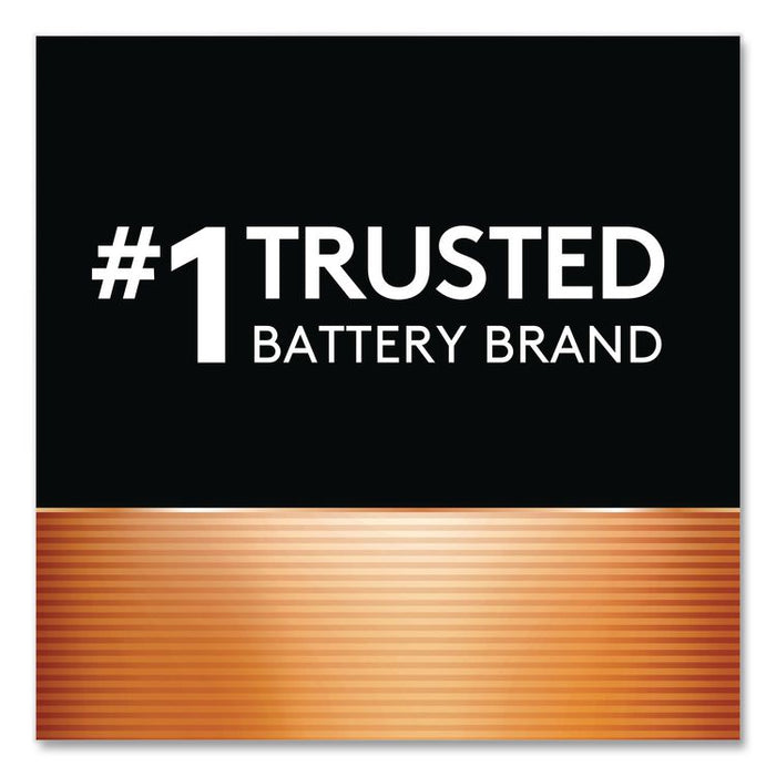 Lithium Coin Batteries With Bitterant, 2016, 2/Pack