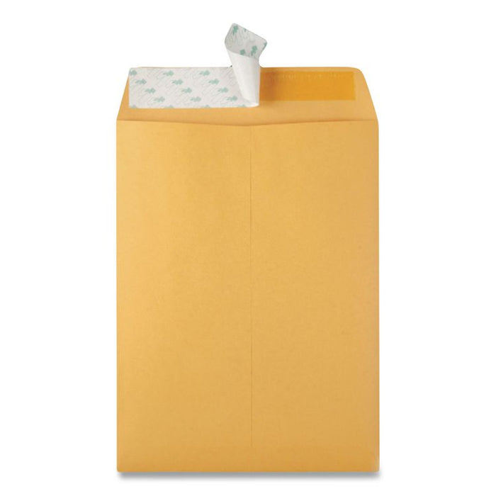 Redi-Strip Catalog Envelope, #13 1/2, Cheese Blade Flap, Redi-Strip Adhesive Closure, 10 x 13, Brown Kraft, 100/Box