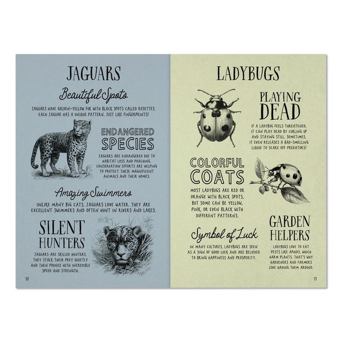Animal Facts for Kids Softcover Book, Paperback, 112 Pages