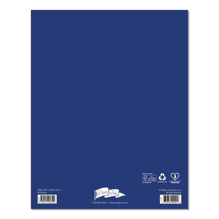 Bold Stripe Monthly Planner, 9.5 x 7.5, Multicolor Cover, 12-Month (Jan to Dec): 2026